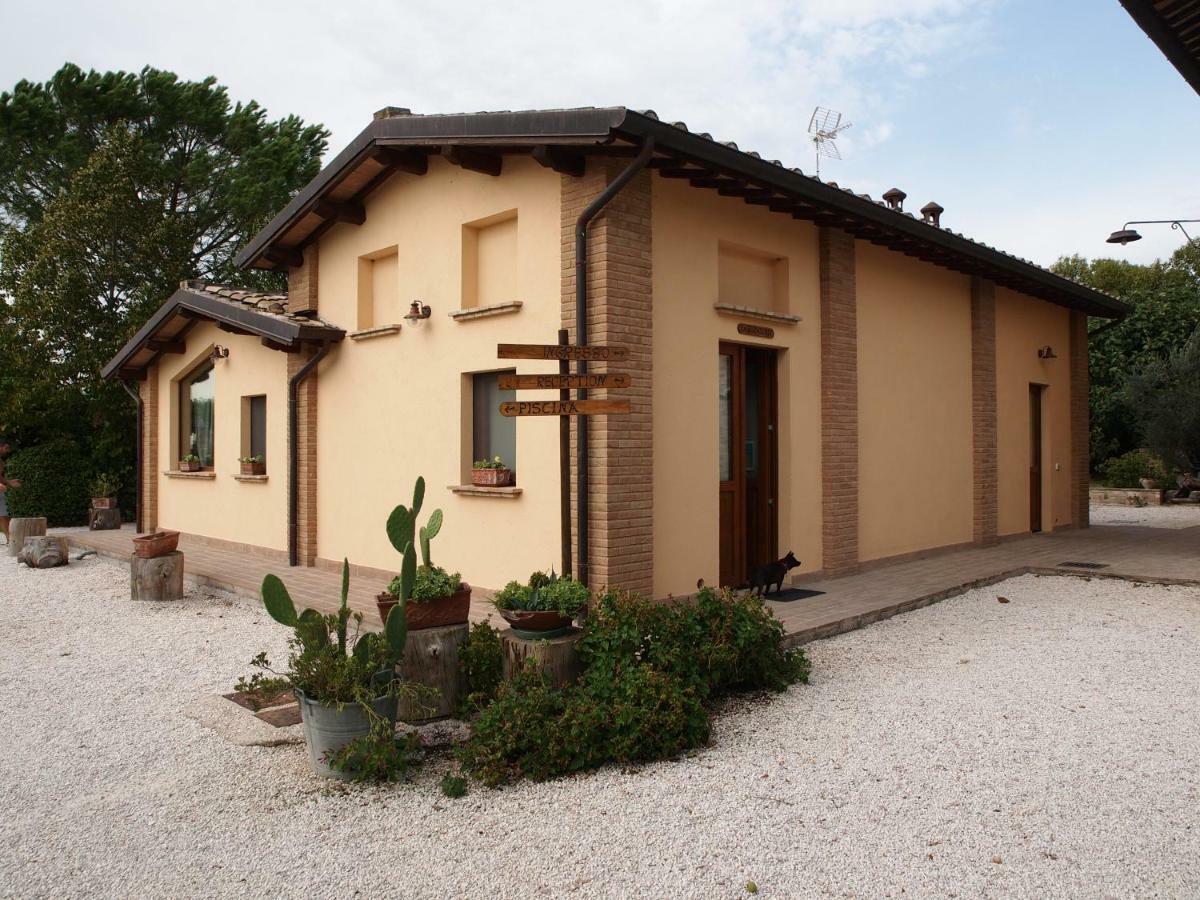 Отель Agriturismo Il Podere Петриньяно Экстерьер фото