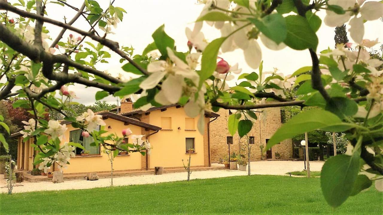 Отель Agriturismo Il Podere Петриньяно Экстерьер фото