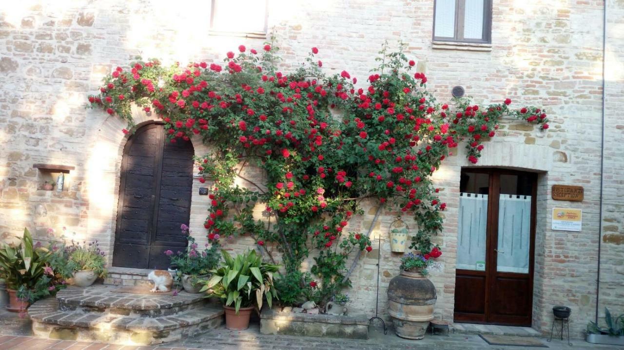Отель Agriturismo Il Podere Петриньяно Экстерьер фото