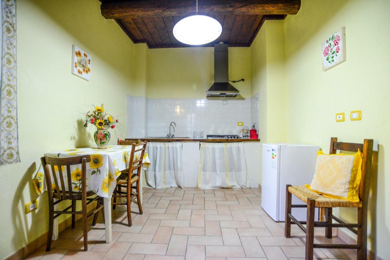 Отель Agriturismo Il Podere Петриньяно Экстерьер фото